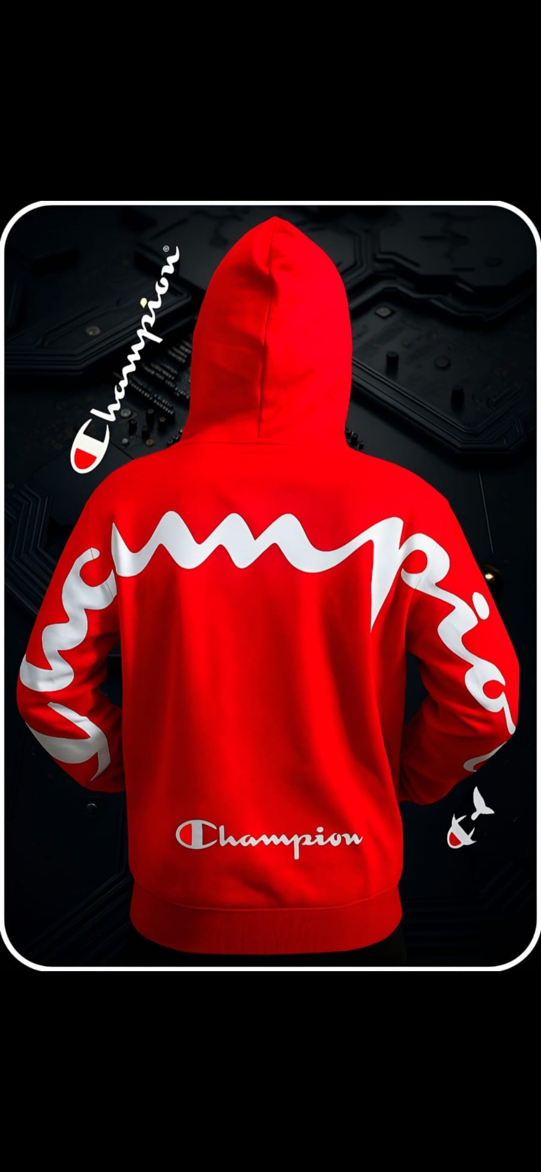 Busos Deportivos Champion Collection